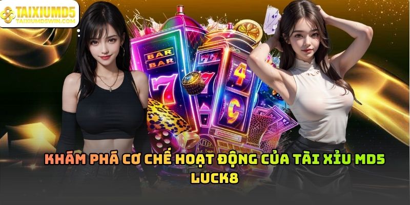 Tài Xỉu MD5 Luck8 Và Cách Hoạt Động Dựa Trên Cơ Chế Kiểm Chứng